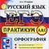 Диагностическое тестирование по русскому языку 9 и 11 классов